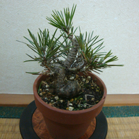 素材1.jpg