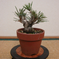 素材2.jpg