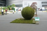 IMG_7727.jpg