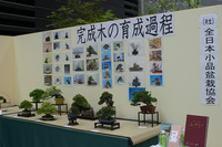 IMG_7799.jpg