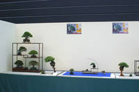 IMG_7801.jpg