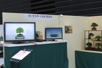 IMG_7803.jpg