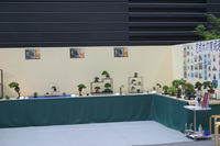 IMG_7805.jpg
