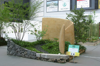 IMG_7807.jpg