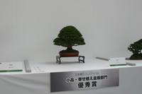 IMG_7811.jpg