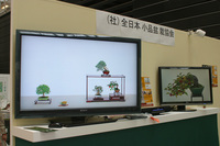 IMG_7843.jpg