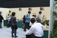 IMG_7927.jpg