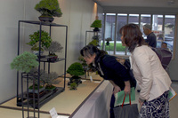 tenji_view01.jpg