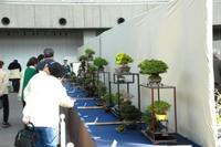 09・03・29春雅展 会場内.jpg