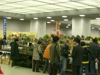 CIMG0124.jpg