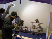 CIMG0159.jpg
