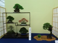 CIMG2579.jpg